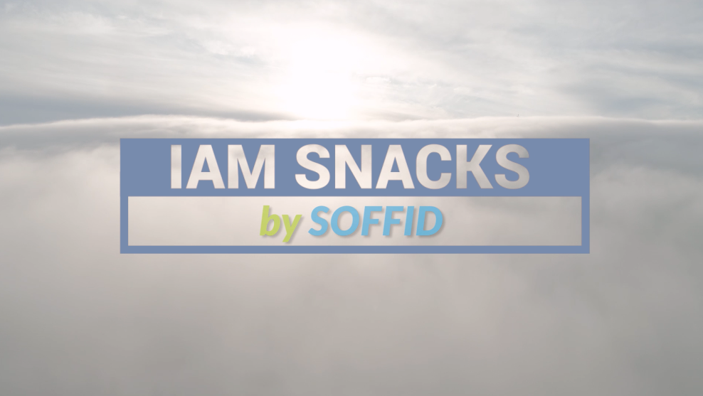 IAM Snacks by Soffid